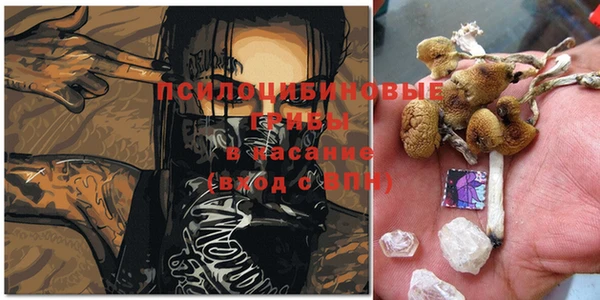 меф Гусев