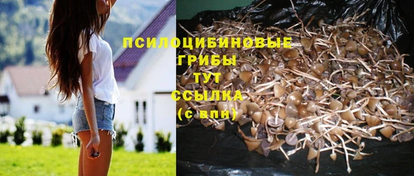 герыч Гусь-Хрустальный