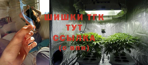 меф Гусев