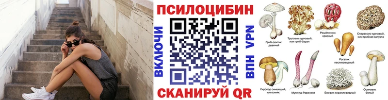 где продают   мориарти клад  Галлюциногенные грибы Cubensis  Сковородино 